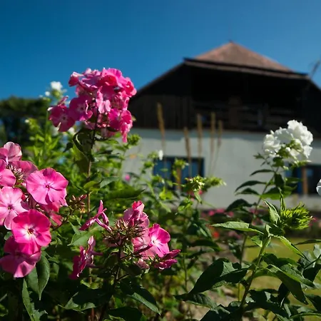 Kopanicakova Kubova Hut