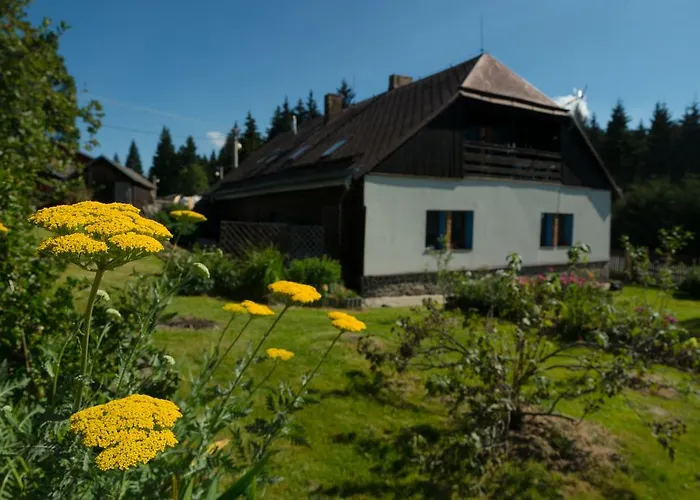 Kopanicakova Apartament
